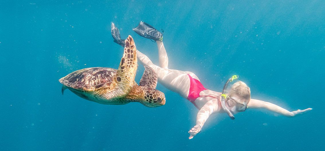 Schnorcheln-mit-Schildkröten---53---Credit-Mike-Heydon-–-Jet-Productions_1131172;1.jpg
