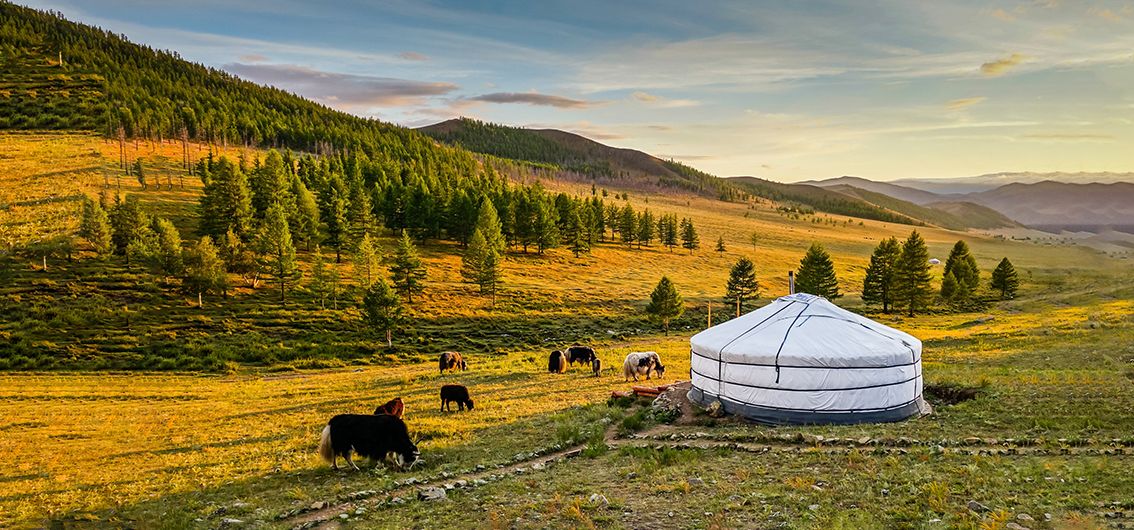 Sonnenaufgang in der Mongolei