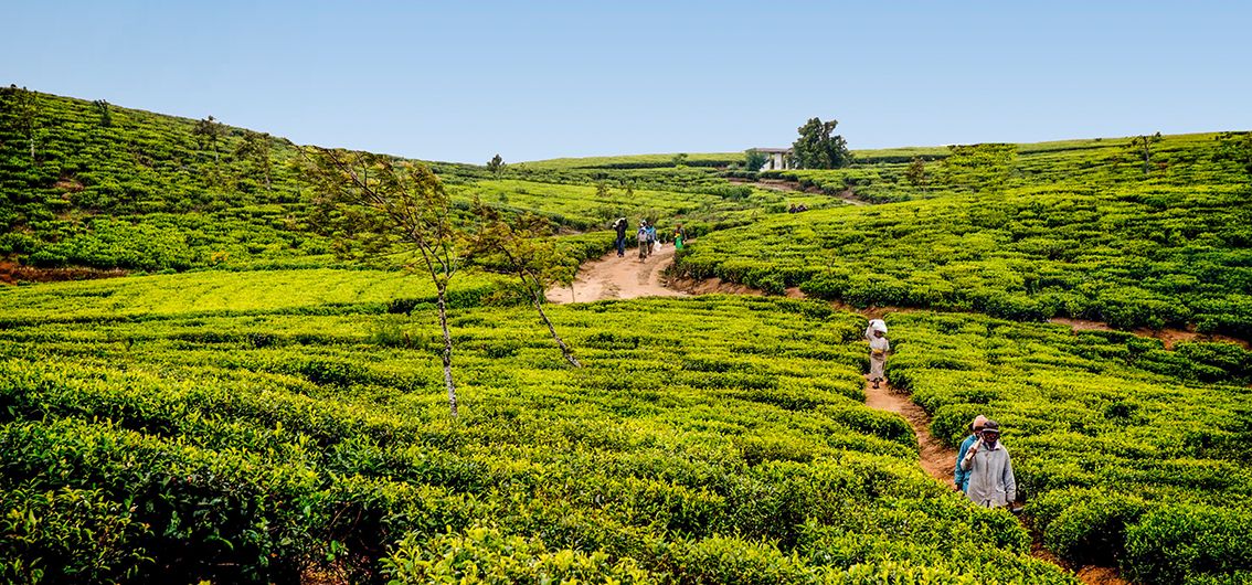 Unberührtes Sri Lanka