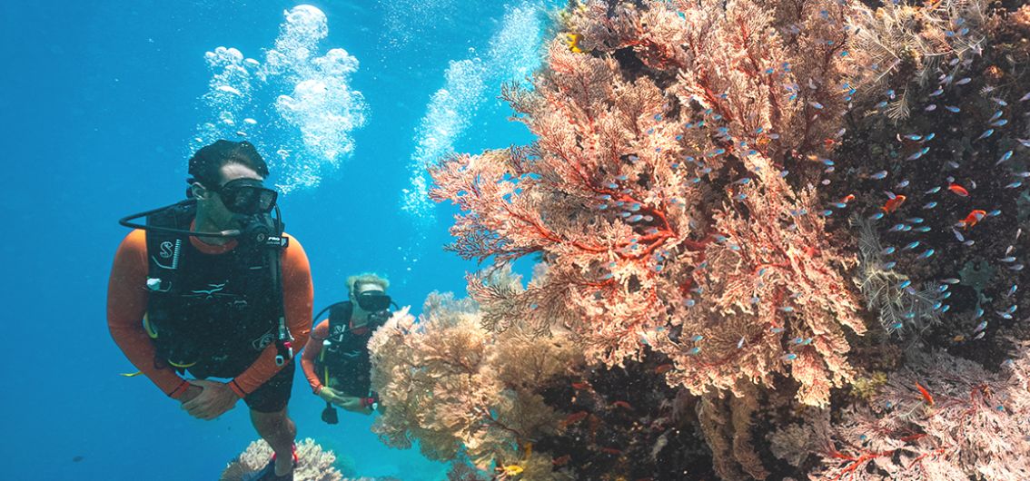 Tauch-Ausflug zu Indonesiens Unterwasserwelt