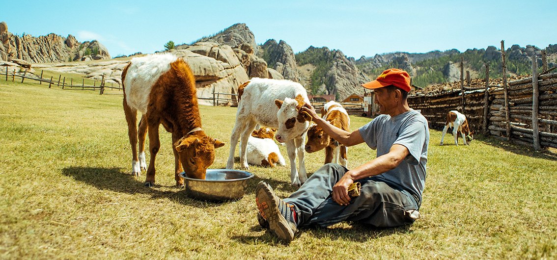 Viehhalter in der Mongolei