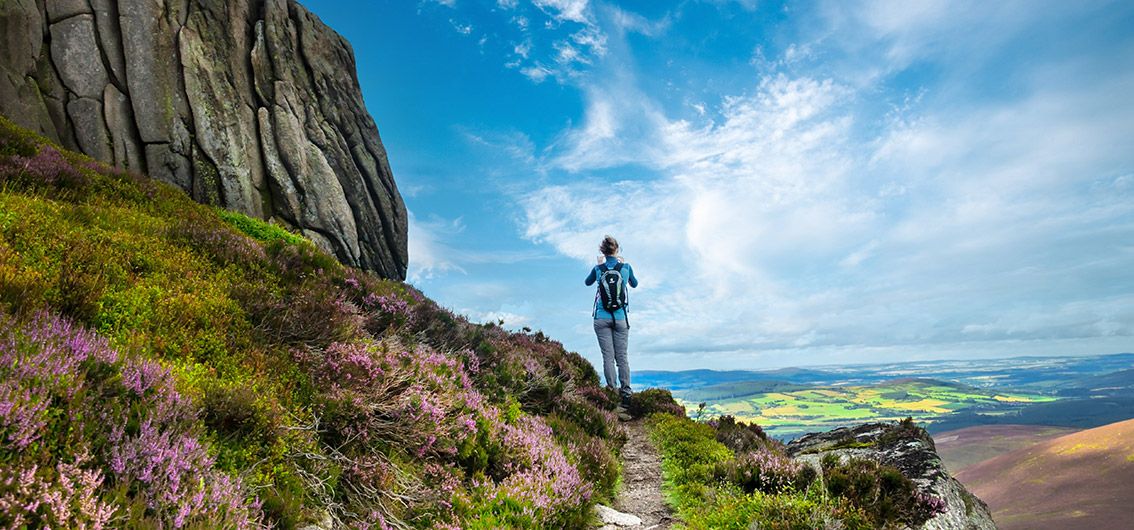 Wandern im Cairngorms-Nationalpark - (231)