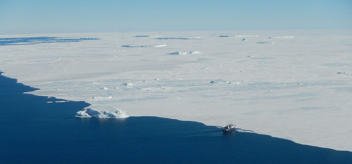 Weddellmeer