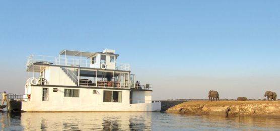 Kapstadt, Viktoriafälle und Chobe-Nationalpark