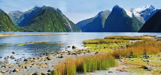 Milford Sound Neuseeland