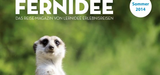 Fernidee - Das Reisemagazin von Lernidee Erlebnisreisen