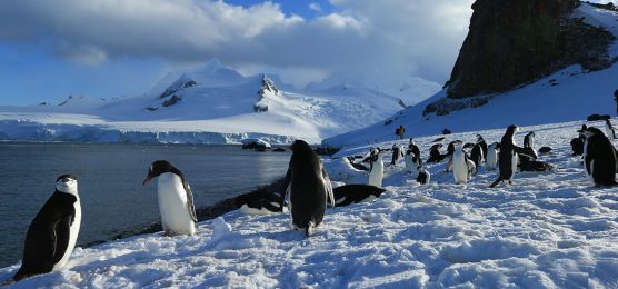 Abenteuer Weddellmeer – die historische Route Abenteuer Weddellmeer – die historische Route