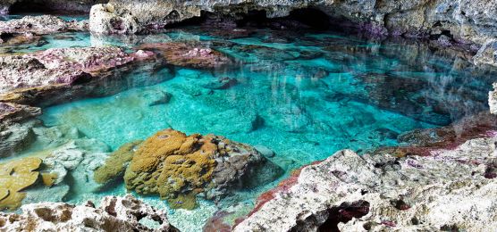 Reise-Baustein: Niue