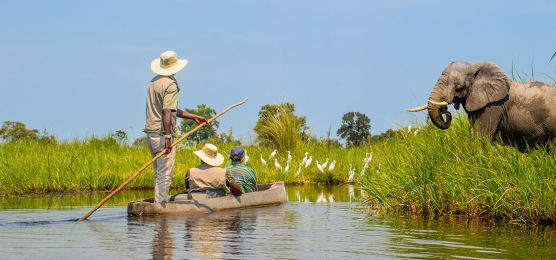 Vorreise zum Chobe-Nationalpark und ins Okavango-Delta