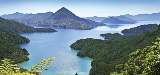 Neuseeland: Auckland - Christchurch Neuseeland: Auckland - Christchurch