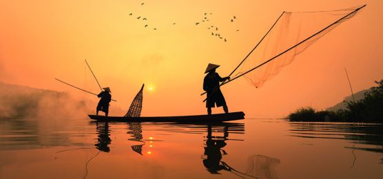 Mekong-Flusskreuzfahrt Lotosblüte