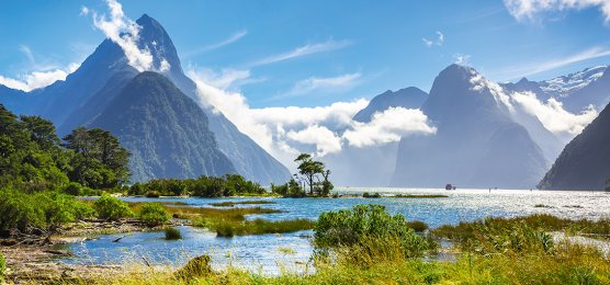 Neuseelands Natur erleben und staunen