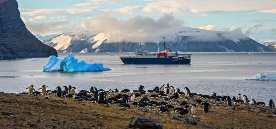 Auf der Suche nach den Kaiserpinguinen Auf der Suche nach den Kaiserpinguinen