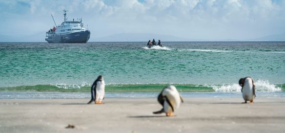 MS-Plancius-auf-dem-Weg-zu-den-Falklandinseln MS-Plancius-auf-dem-Weg-zu-den-Falklandinseln