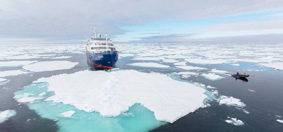 Im Reich der Eisbären Im Reich der Eisbären