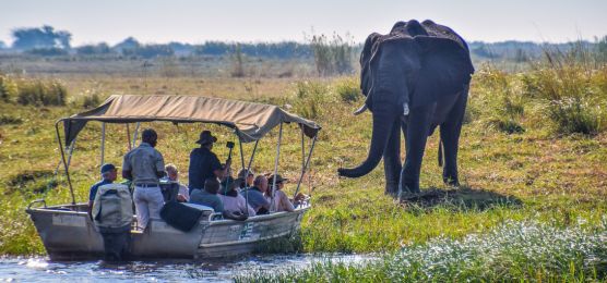 Vorreise zum Chobe-Nationalpark