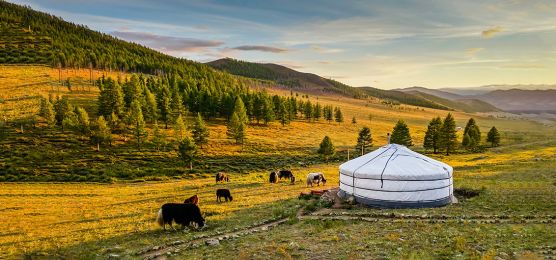 Zarengold: Mongolei-Rundreise bis Peking