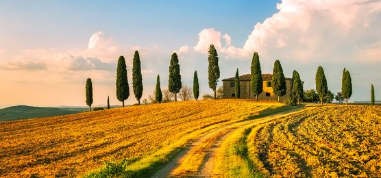 Bella Italia Bella Italia
