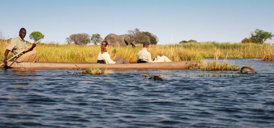 Safari pur: Chobe-Nationalpark und Okavango-Delta