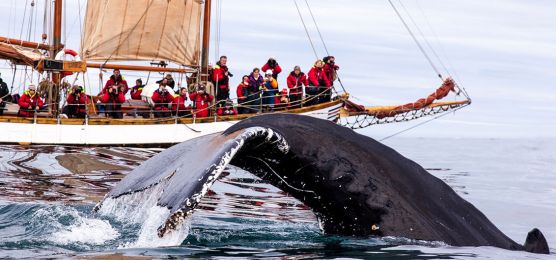 Kurs auf die Inselperlen im Nordmeer