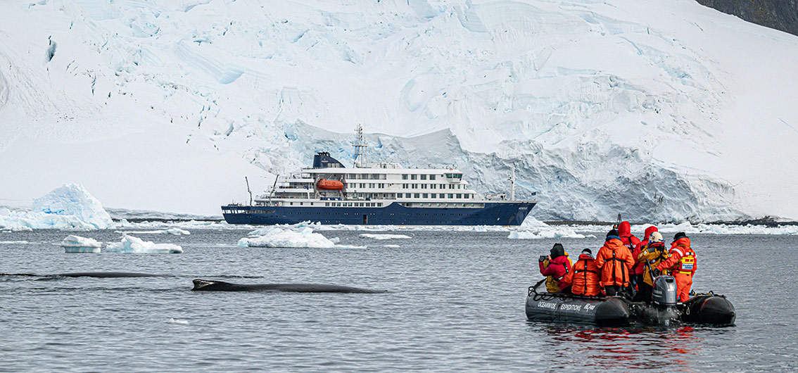 MS-Hondius-und-Zodiac
