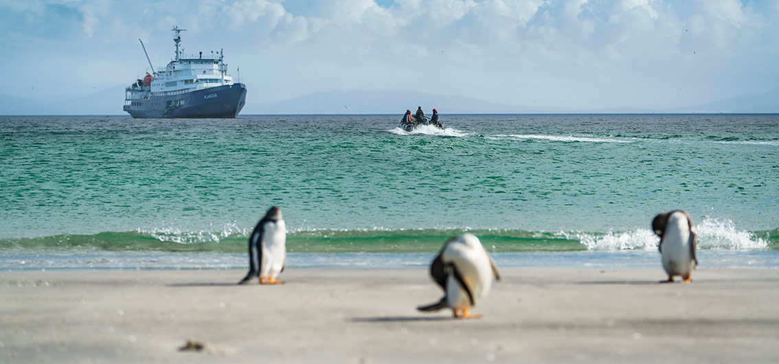 MS-Plancius-auf-dem-Weg-zu-den-Falklandinseln MS-Plancius-auf-dem-Weg-zu-den-Falklandinseln