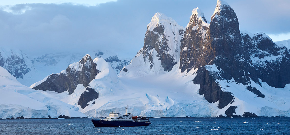 MS-Plancius-in-der-Antarktis MS-Plancius-in-der-Antarktis